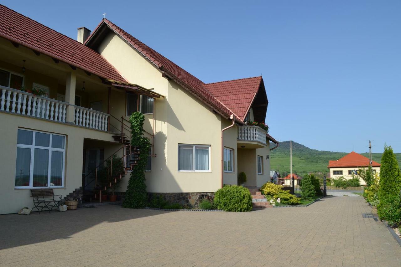 Hotel Margareta Vendeghaz Lupeni  Exterior foto